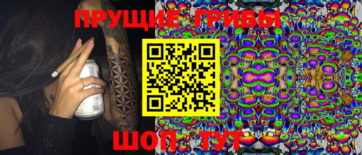 Урай  сколько стоит  Вход с VPN  Псилоцибиновые грибы Psilocybe 
